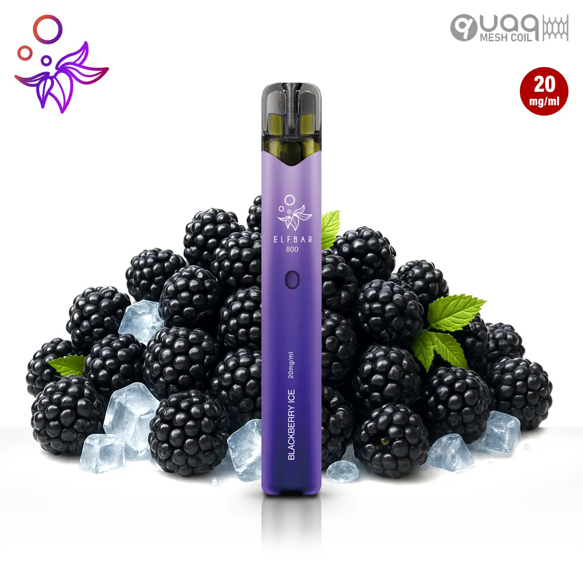Elfbar 800 Blackberry Ice – beliebte Vape mit Beerenaroma jetzt online